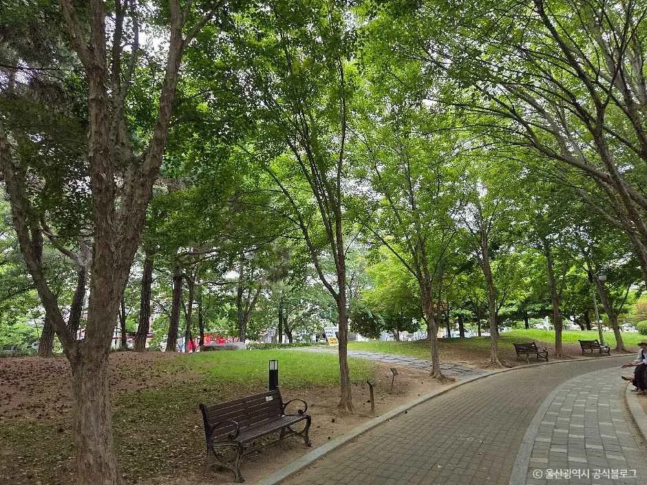 울산_문화공원(울산) (5).jpg