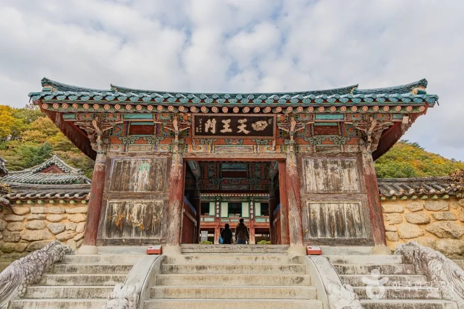 속초_신흥사 (3)
