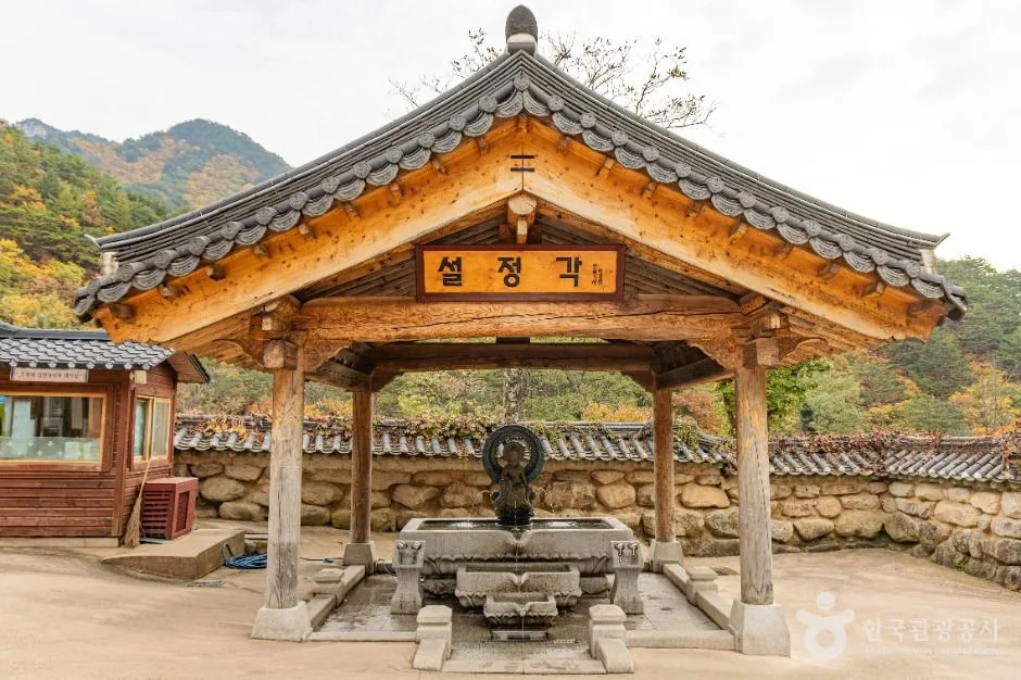 속초_신흥사 (5)