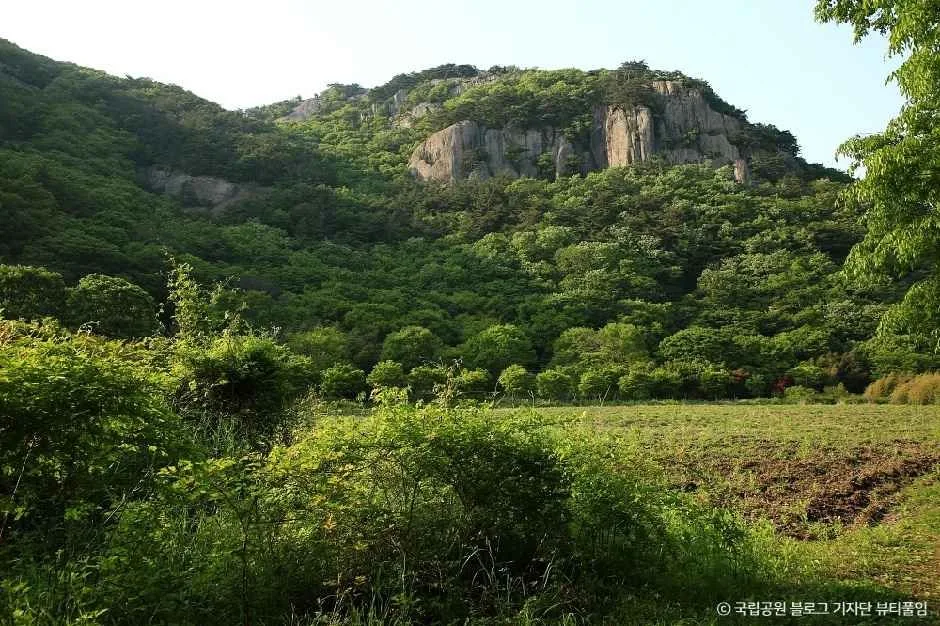 부안_내변산 (4).jpg