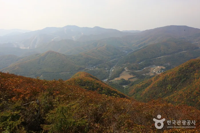 매봉산풍력발전단지와 고랭지채소밭_20