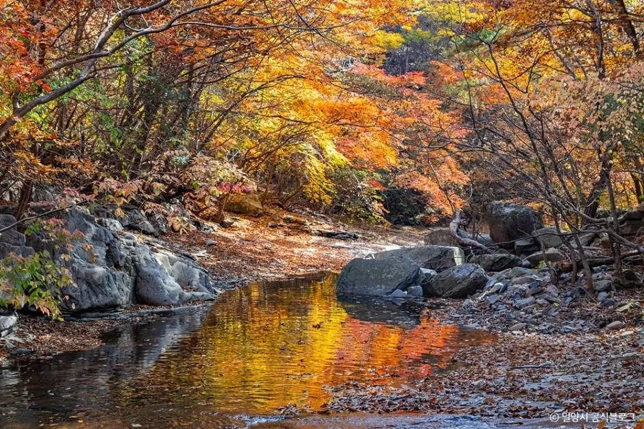 밀양_쇠점골계곡 (3)