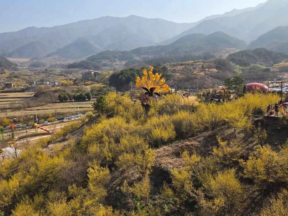 2026 구례산수유꽃축제  (3).jpg