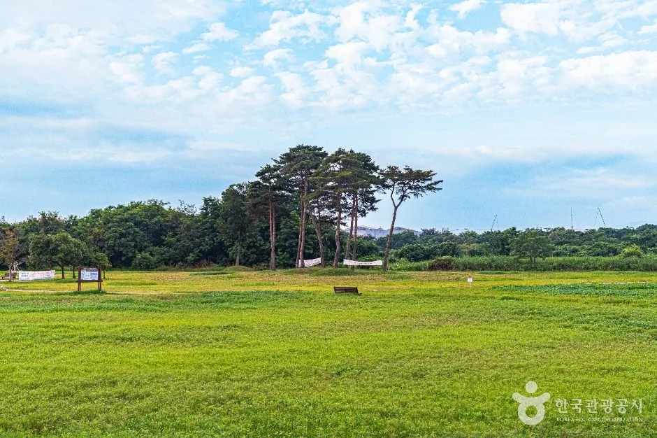 광주_황룡친수공원 (3)