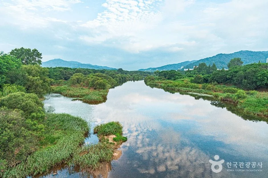 광주_황룡친수공원 (2)