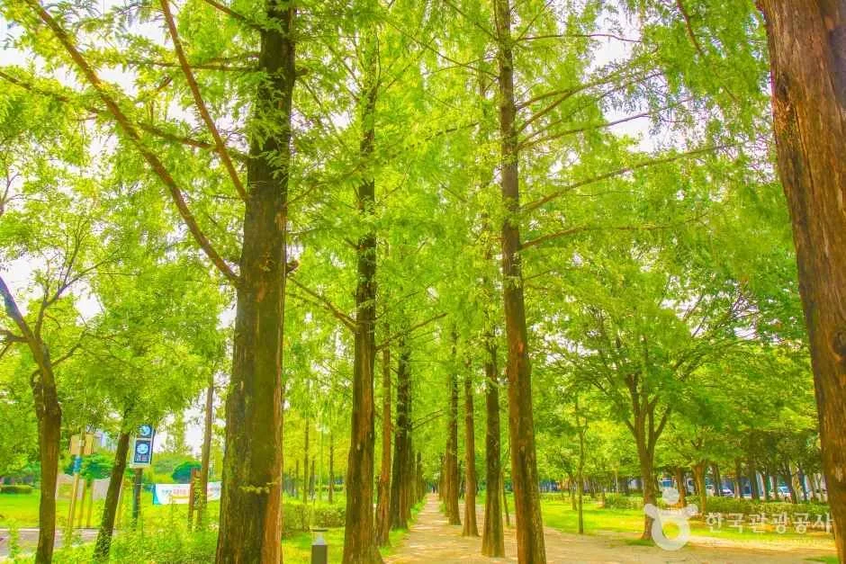 호산공원