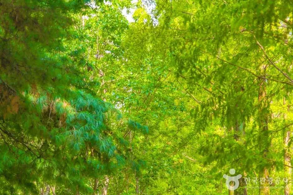 호산공원 (5)