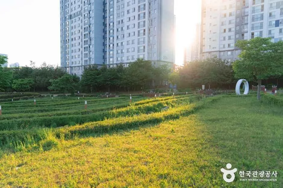 세종_세종_푸른뜰근린공원_다랭이논을 현대적으로 형상화한 계단식 정원_2.jpg