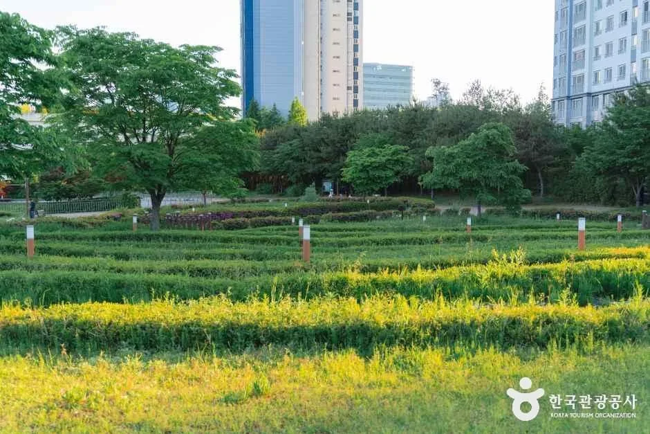 세종_세종_푸른뜰근린공원_다랭이논을 현대적으로 형상화한 계단식 정원_3.jpg