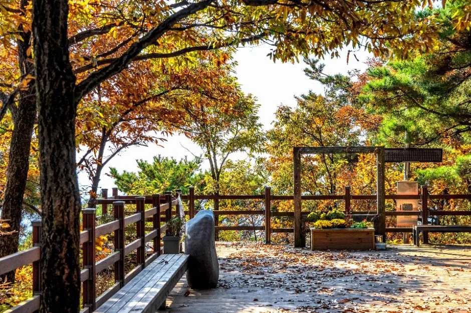 용인_법화산 (3)