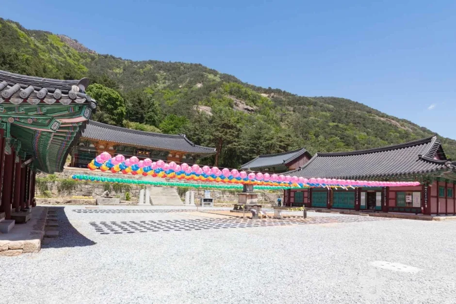 삼화사 (15)