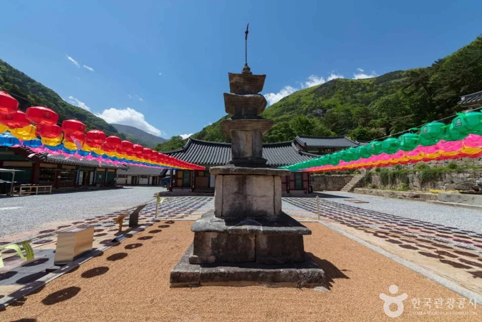삼화사 (17)