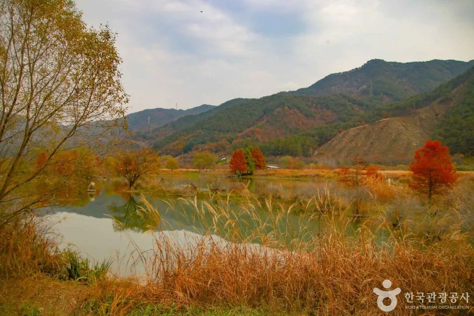 전북_진안_용담호05