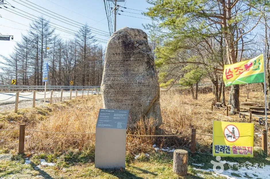 만항재_8