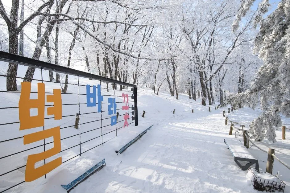 만항재_9