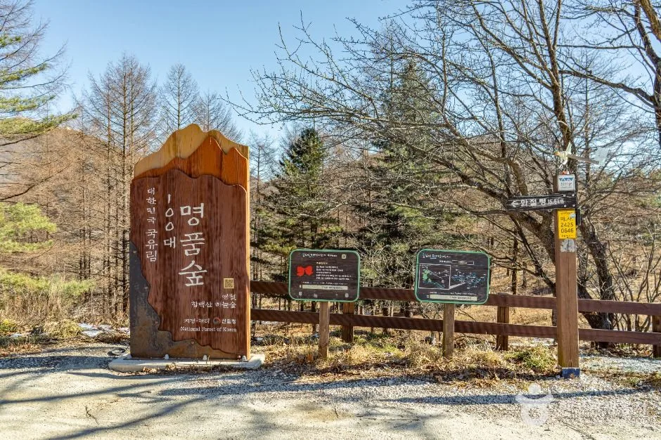 만항재_6
