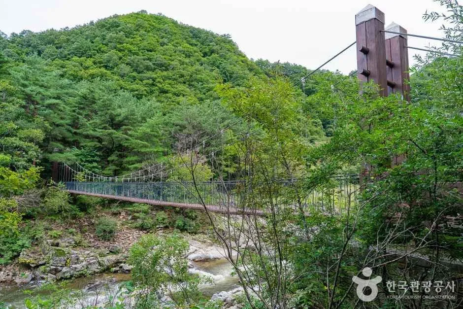 강원_양구_두타연_6.jpg