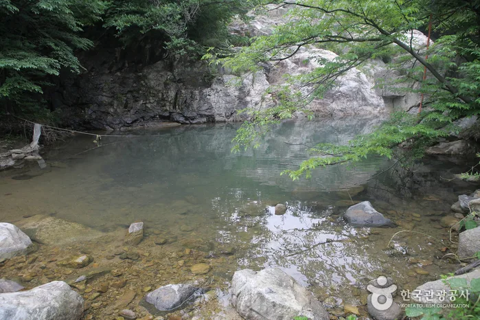 선유동계곡