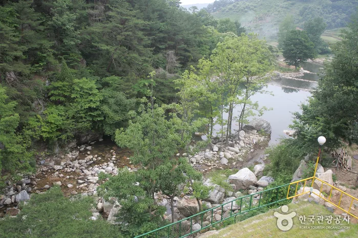 선유동계곡