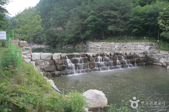 선유동계곡