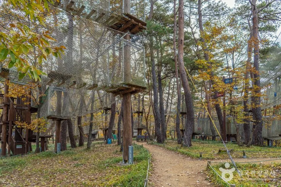 영덕_산성계곡 생태공원 (6)
