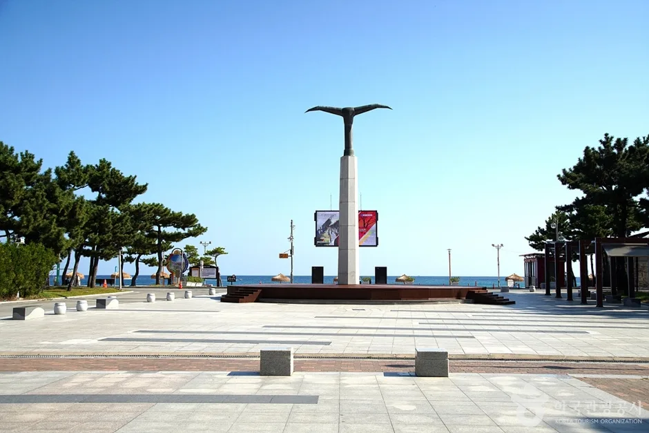 낙산도립공원 (5)
