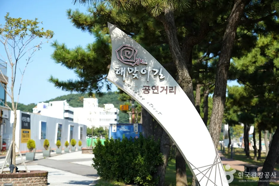낙산도립공원 (12)