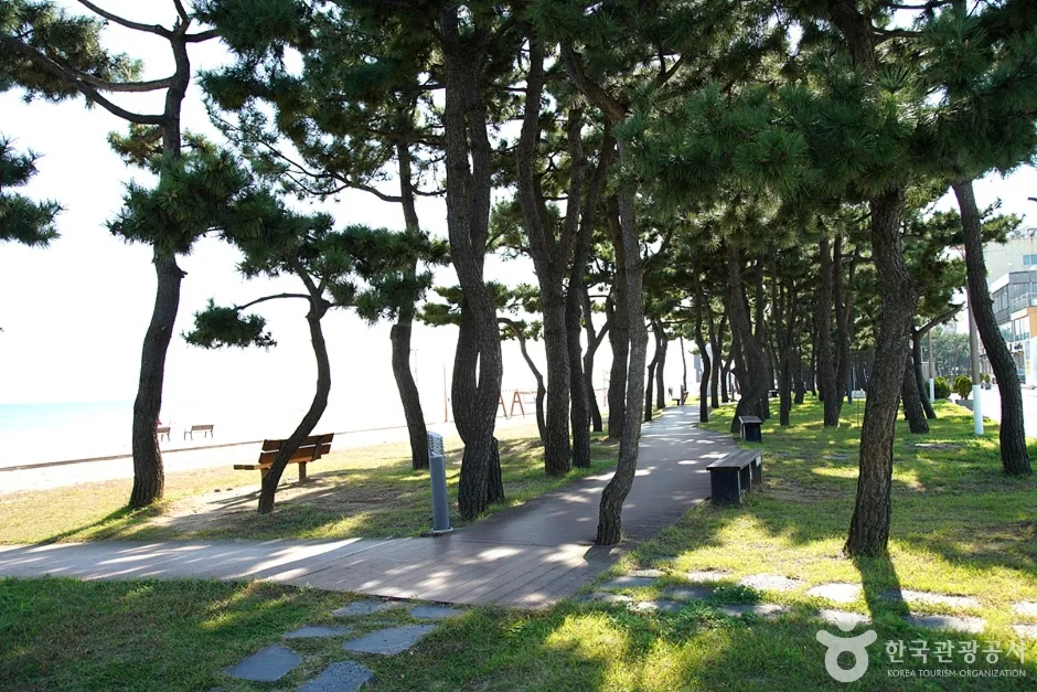 낙산도립공원 (3)