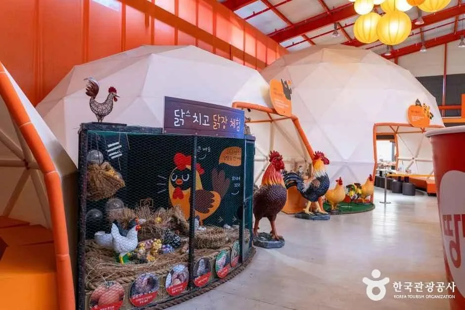 대구_치킨체험 테마파크 땅땅치킨랜드 (5)