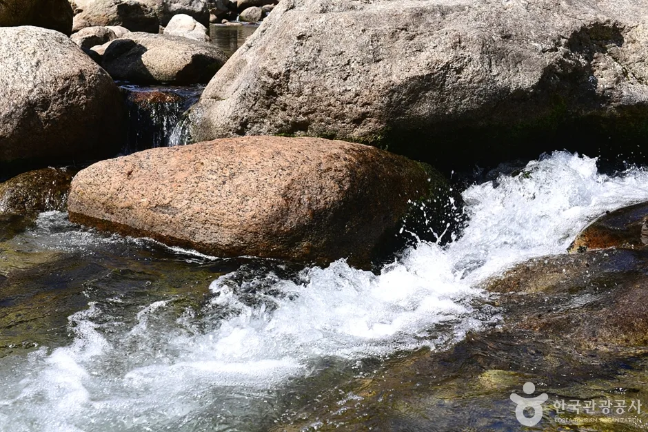 전남_광양_백운산 동곡계곡 (14)