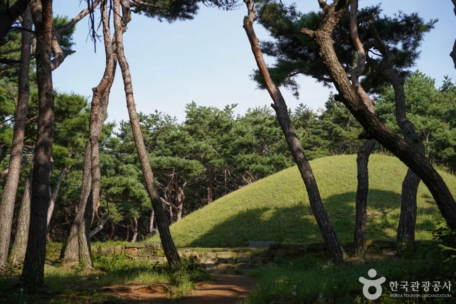 선덕여왕릉_06