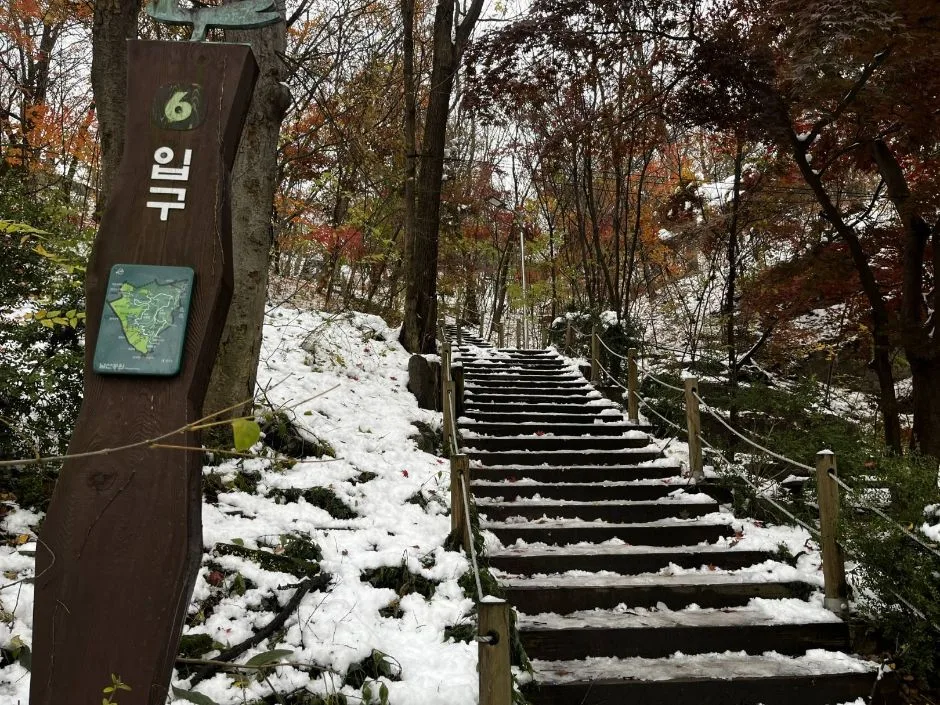 남산인권 숲_ 계단 입구