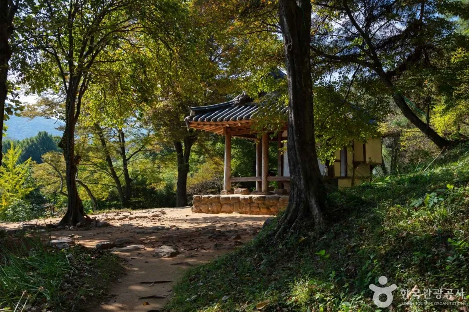 광주_북구_환벽당·조대 (5)