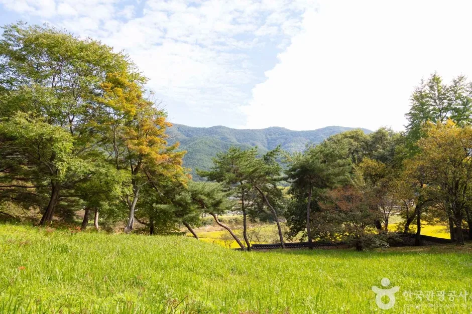 광주_북구_환벽당·조대 (2)