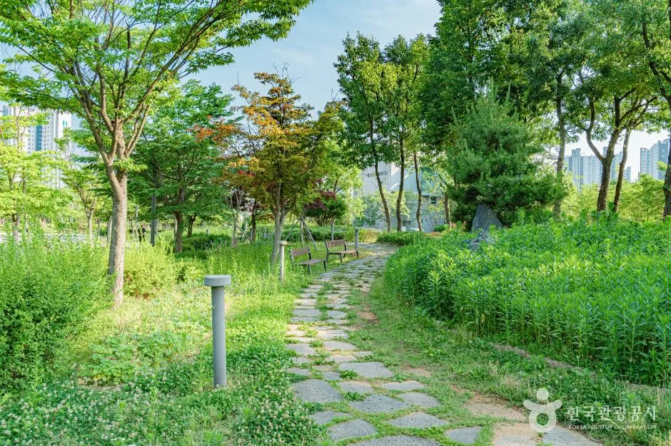 김포_한강중앙공원 (2)