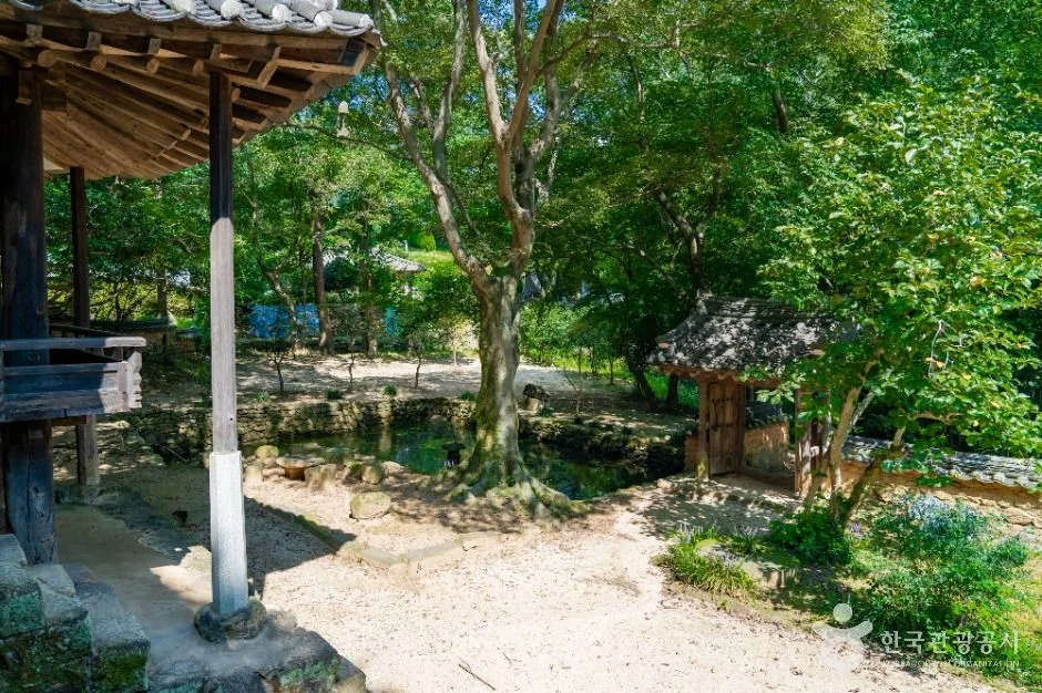 보성_보성 열화정 (8)