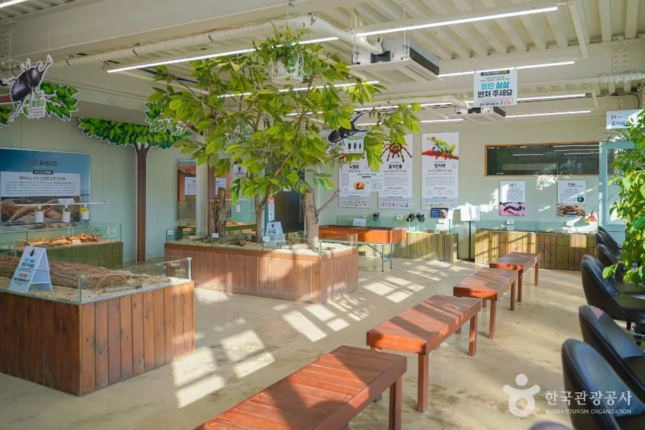 농촌, 곤충, 자동차, 놀이까지! 아이와 떠나는 용인 체험여행_경기_용인_용인곤충테마파크_5.jpg