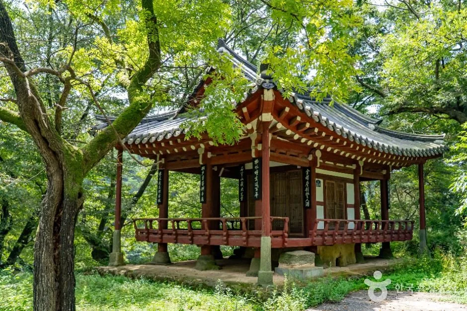 임실_오괴정 (2)