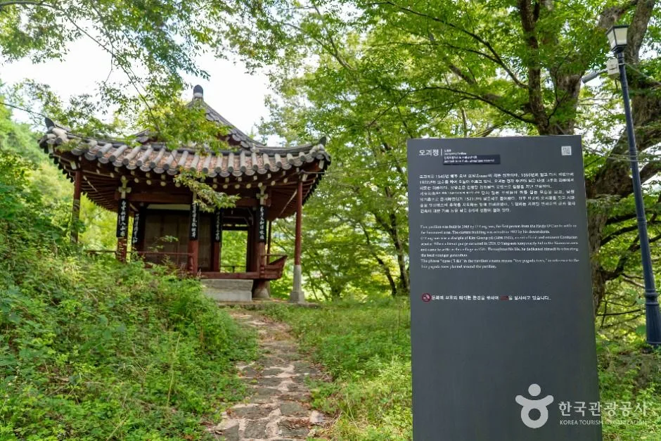 임실_오괴정 (1)