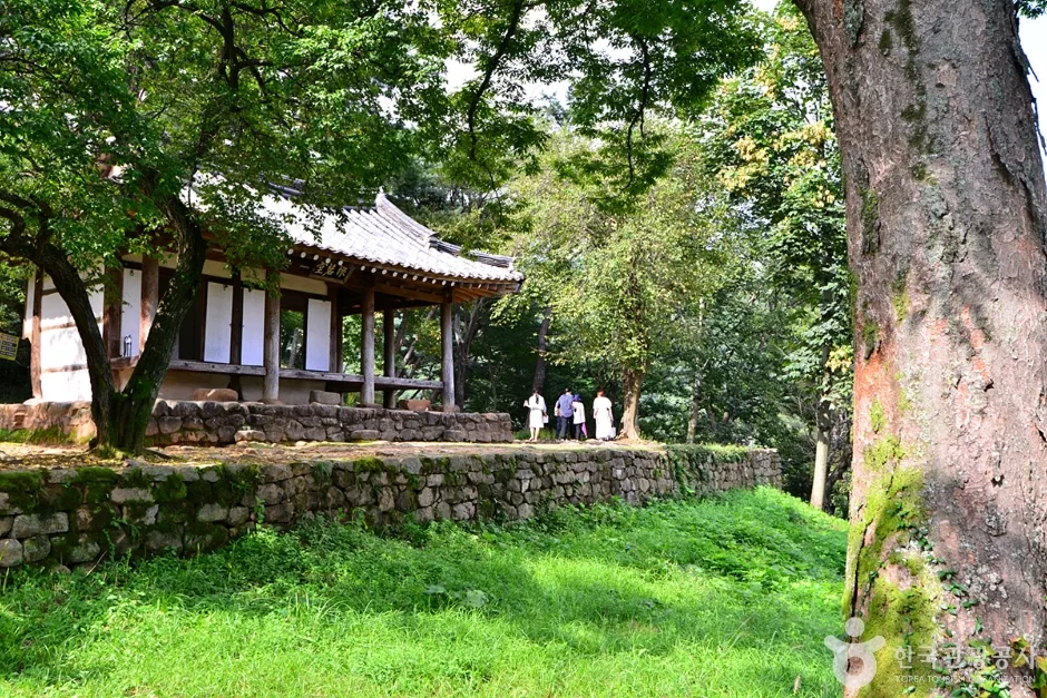 환벽당 (6)