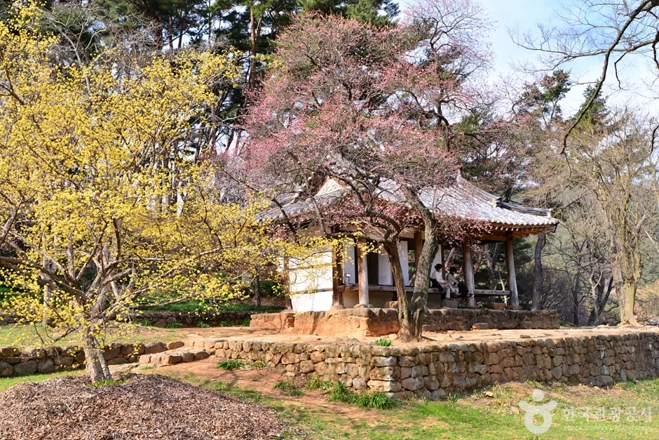 환벽당 (4)