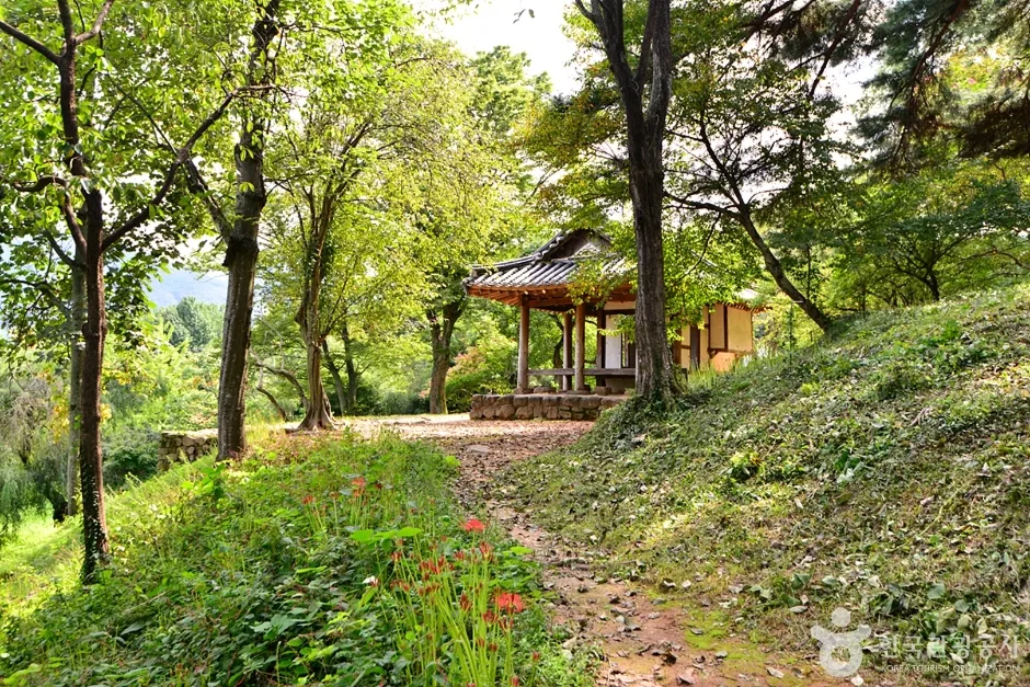 환벽당 (1)
