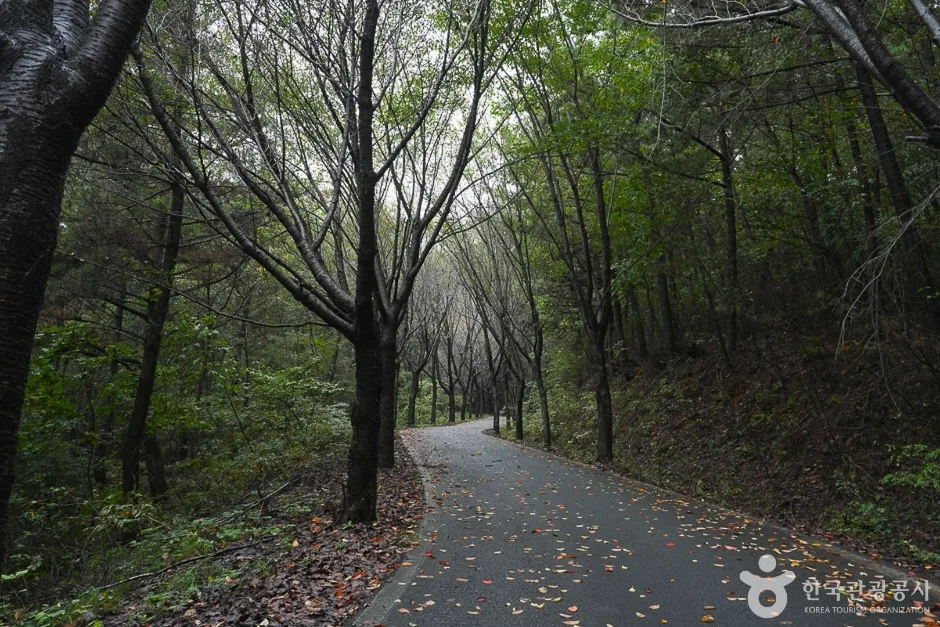 가제산 (10)