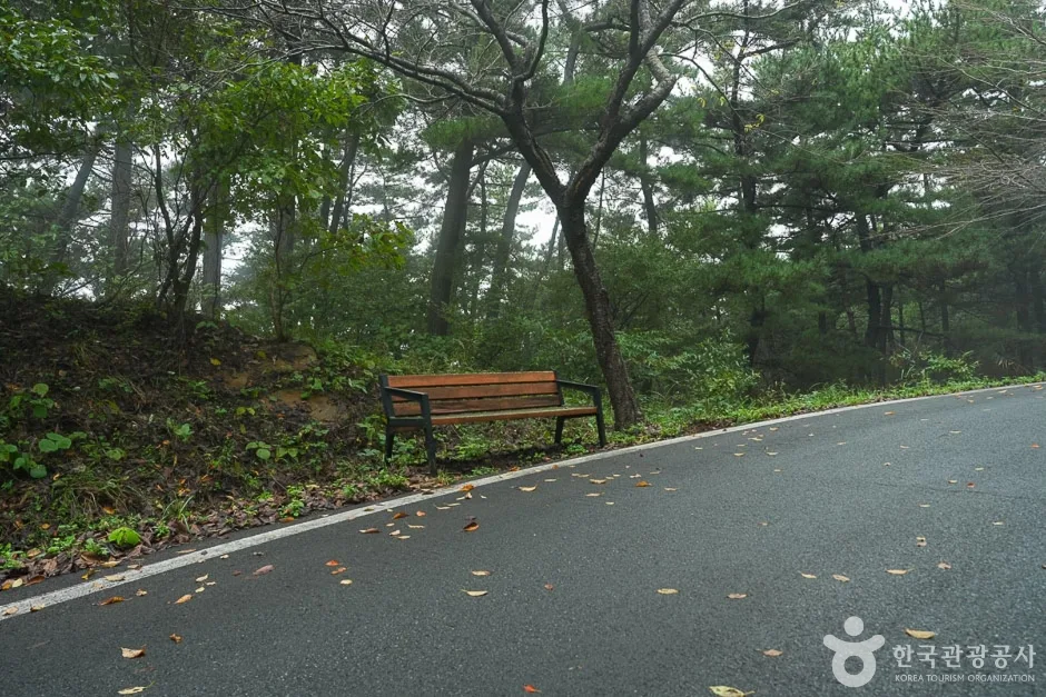 가제산 (8)