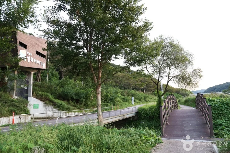 안양천 (7)