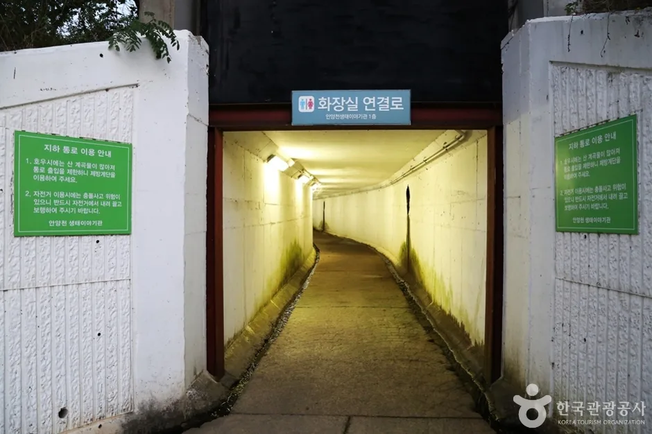 안양천 (10)