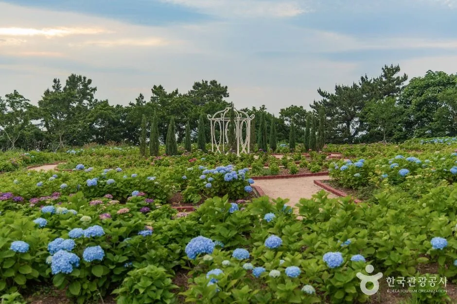 사천_초양도 (3)