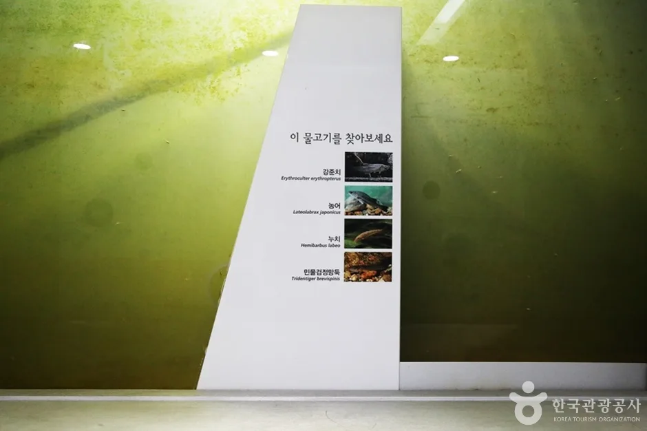 낙조정 (8)
