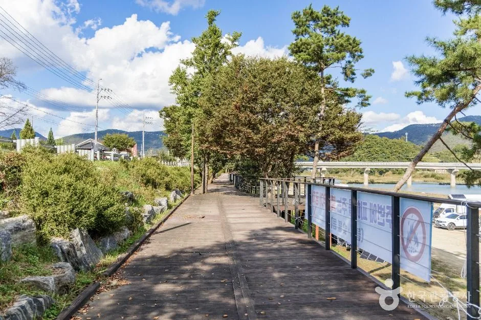 괴산_목도강수욕장 (4)