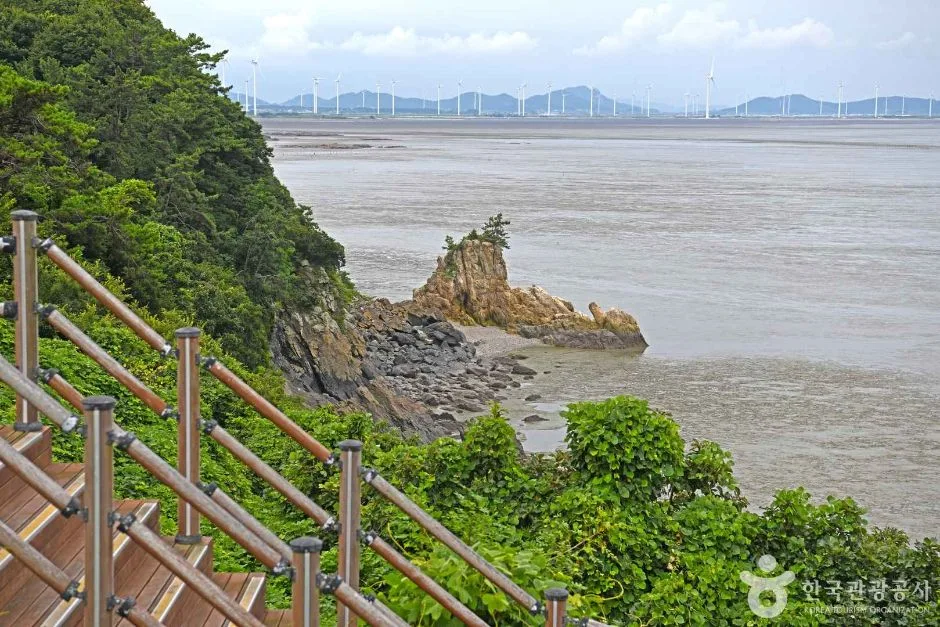 영광_백수해안공원 (3)